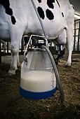Komisija zio par situciju piena tirg