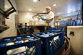 Lietuvas lauksaimnieki plno izveidot lielu piena prstrdes raotni